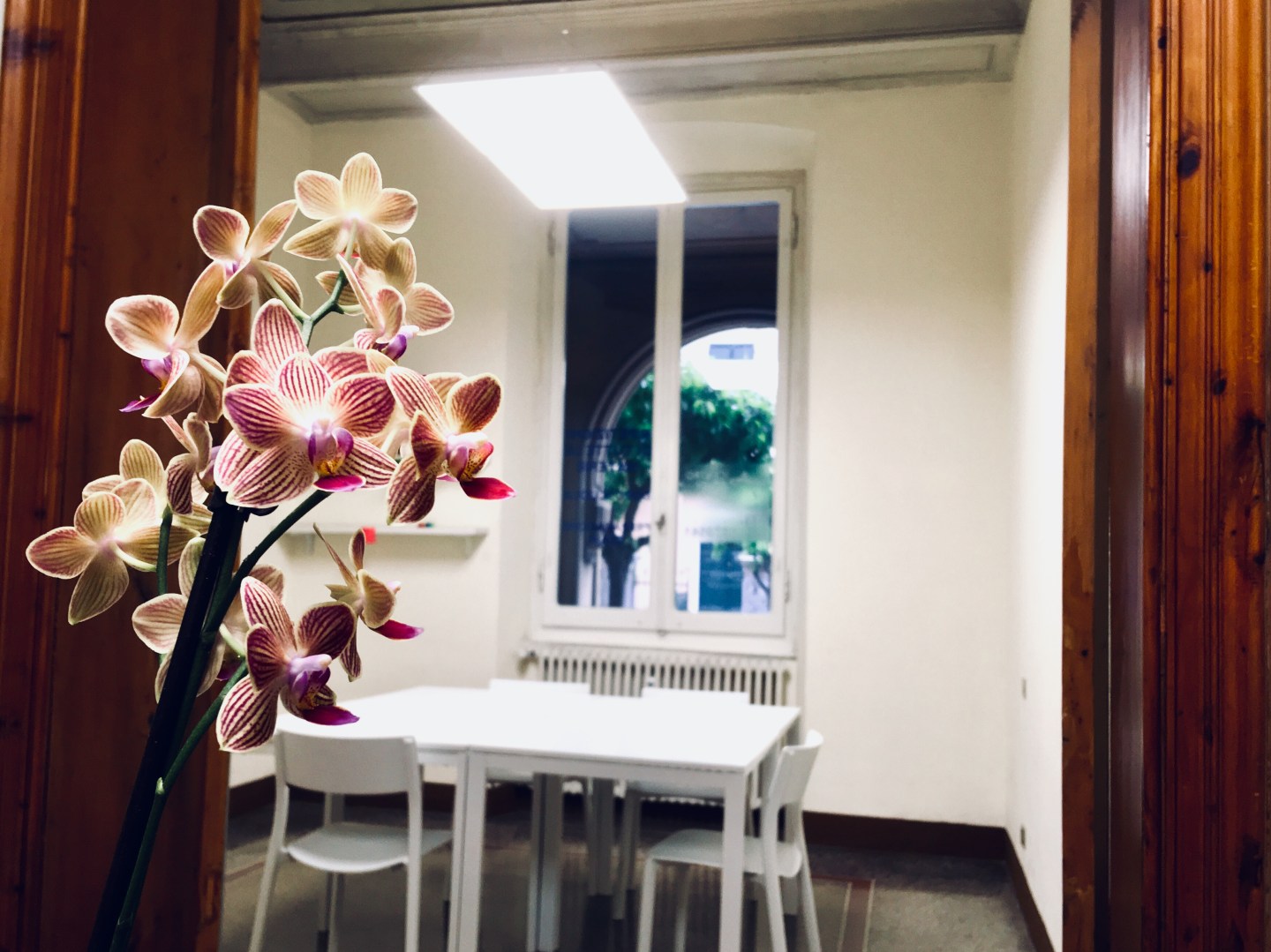 Centro Studi Fiery Chiavari